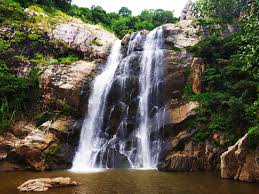 Hazaribagh to Koderma One Way Cab Taxi 1299/